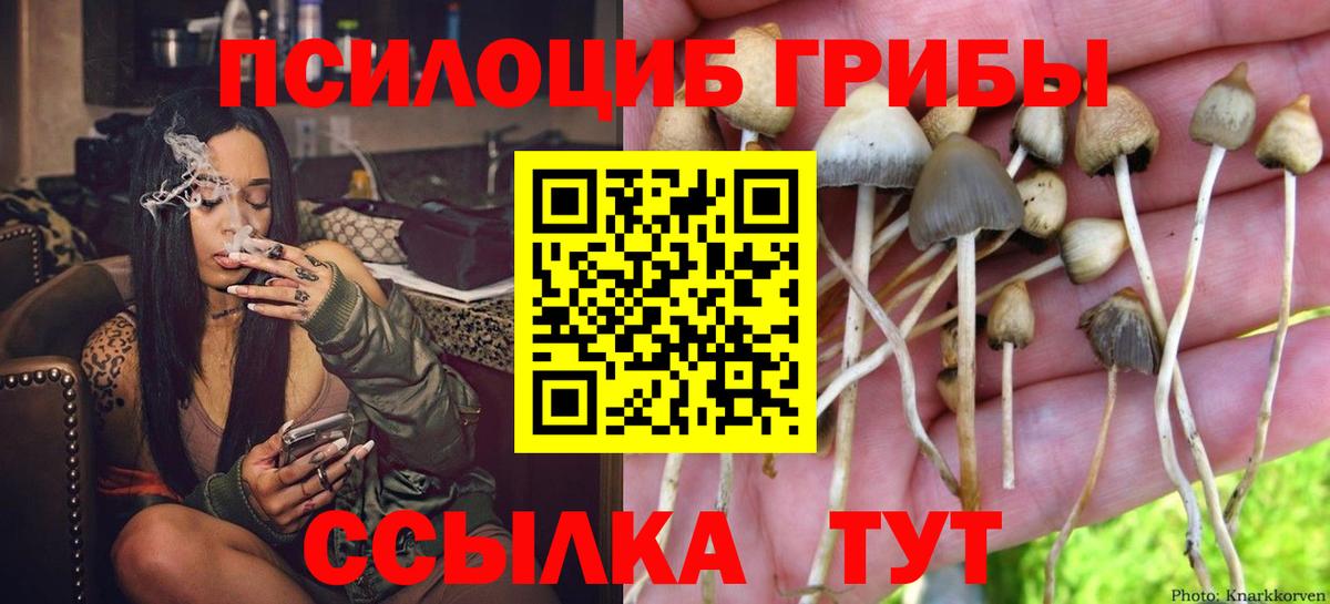 продажа наркотиков  Вход с VPN  Людиново  Псилоцибиновые грибы мухоморы 